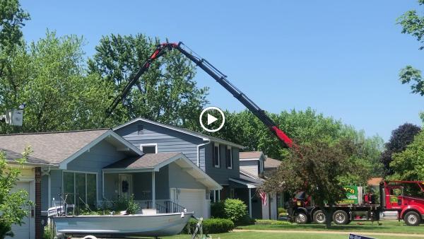 Tony's Tree Service Buffalo