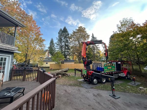 Tony's Tree Service Buffalo