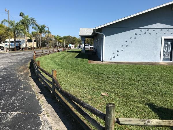Average Joe Landscape