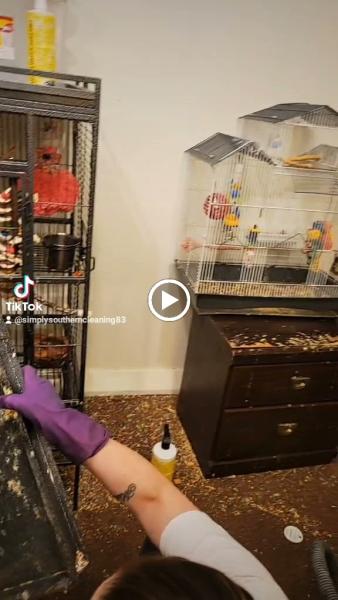 Simply Southern Cleaning Services LLC