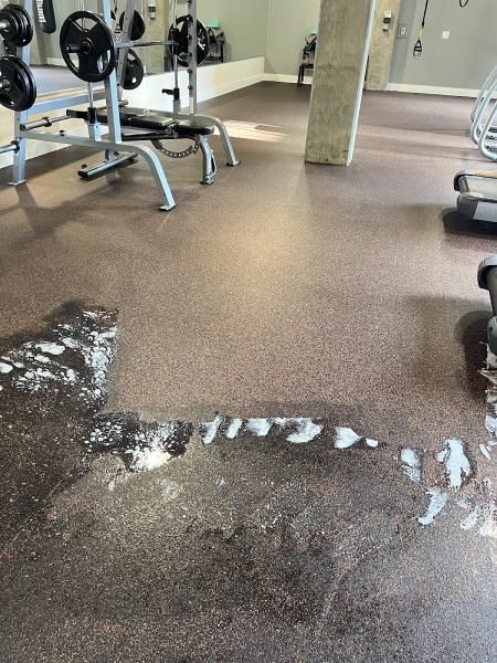 4 Elements Carpet Cleaning & Services