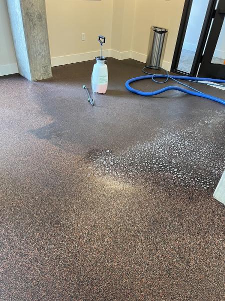 4 Elements Carpet Cleaning & Services