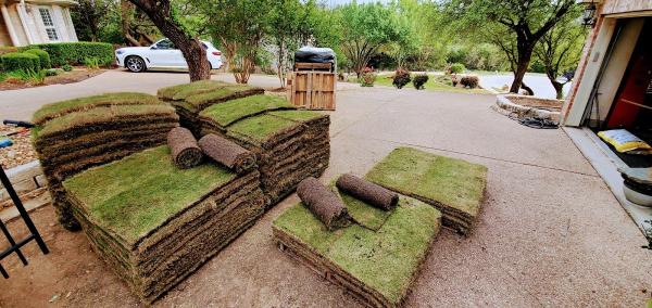 ATX Tree Fence & Lawn
