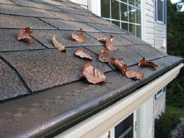 Seamless Gutters & More
