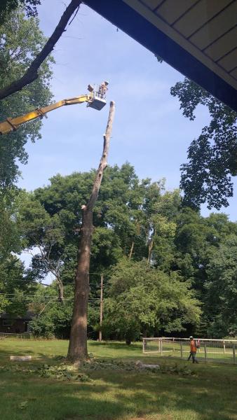 Brownsburg Tree Care LLC Also DBA Brownsburg Tree Service