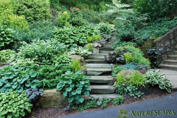 Naturescapes Landscape Specialists