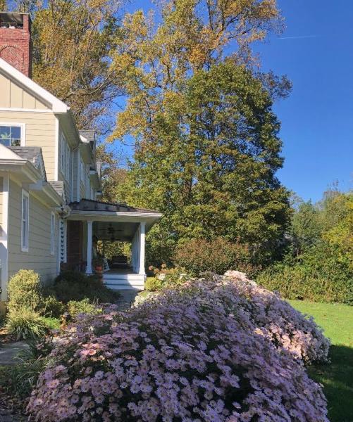 Naturescapes Landscape Specialists