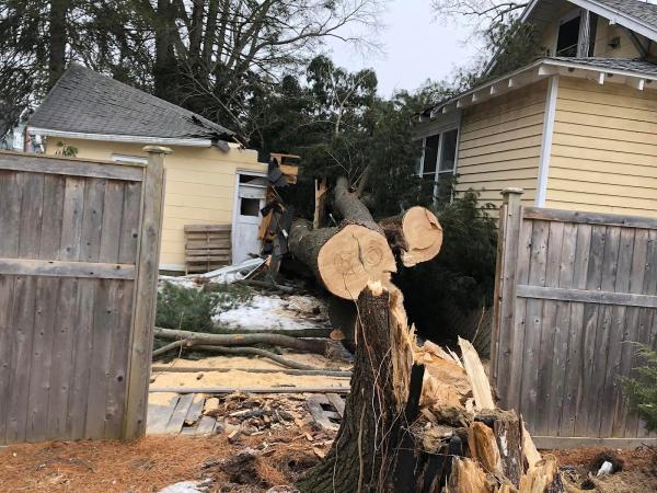 KT Tree Services