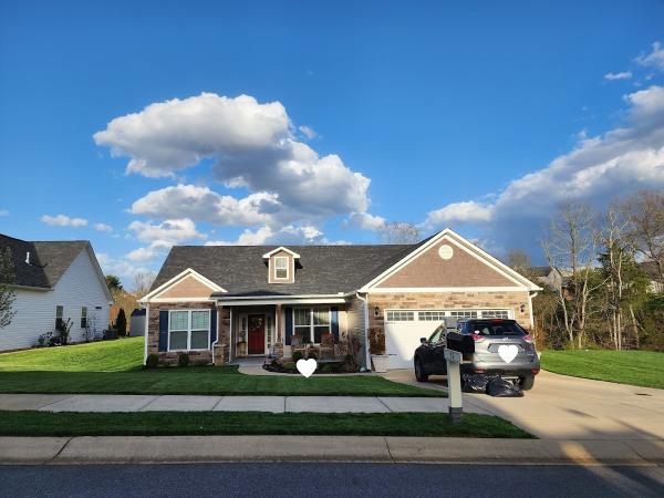 Truedge Lawn Care