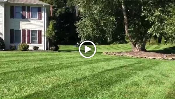 Iovanna Property Maintenance Llc.