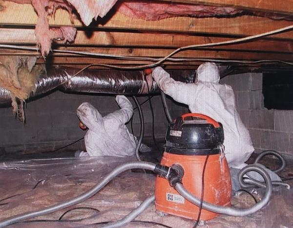Certified Mold Removal Inc.