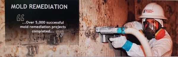 Certified Mold Removal Inc.