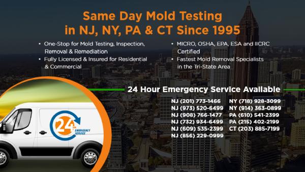 Certified Mold Removal Inc.