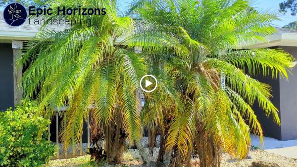 Epic Horizons Landscaping -- North Port