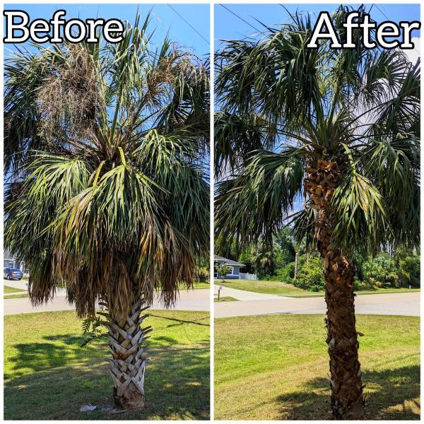 Epic Horizons Landscaping -- North Port