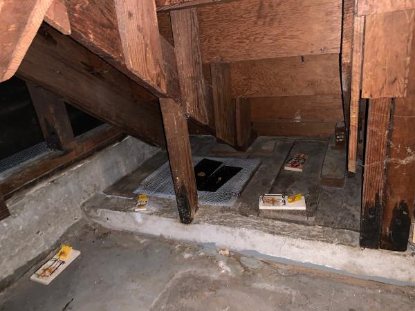 Rywen Insulation and Rodent Proofing