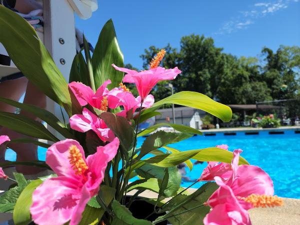 Aloha Gardens (Tropical Plants