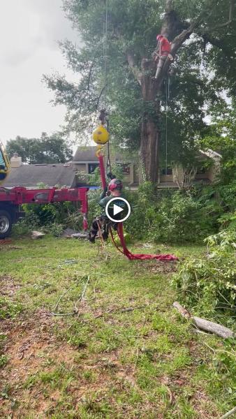 Magic Tree Service