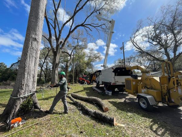 Magic Tree Service