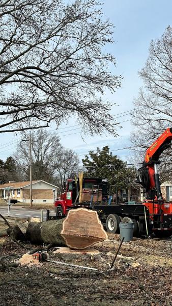 Hanneke Tree Service