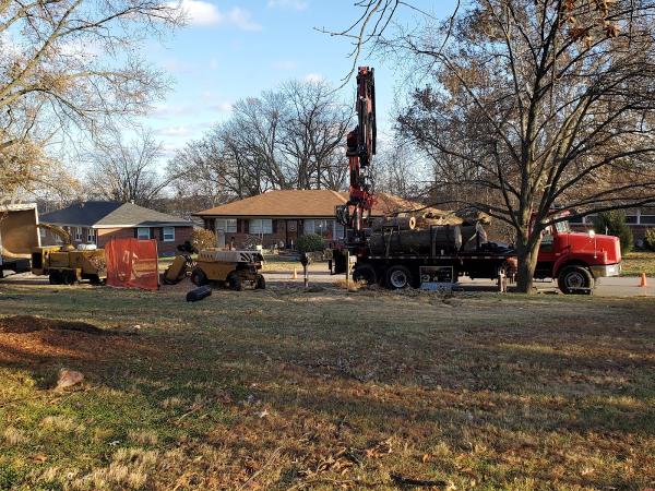 Hanneke Tree Service