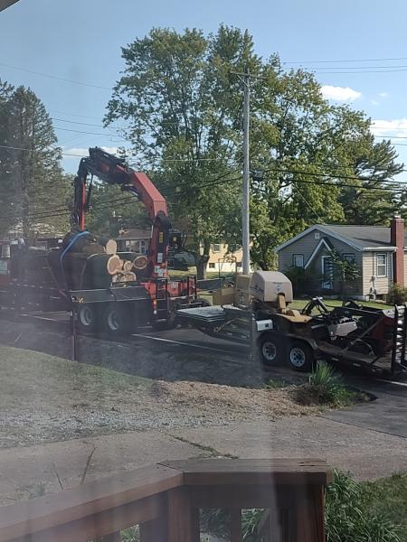 Hanneke Tree Service