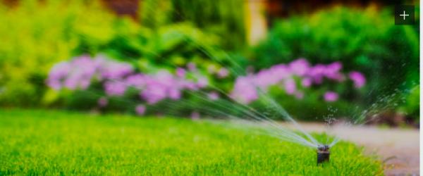 Elements Sprinkler Company