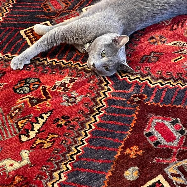 Orley Shabahang Persian and Oriental Rugs