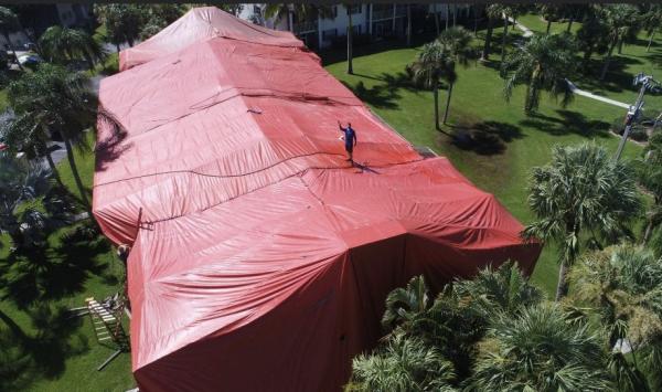 Dynamic Pest Control Inc