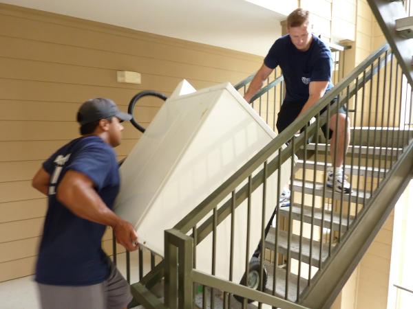 Mighty Michigan Movers