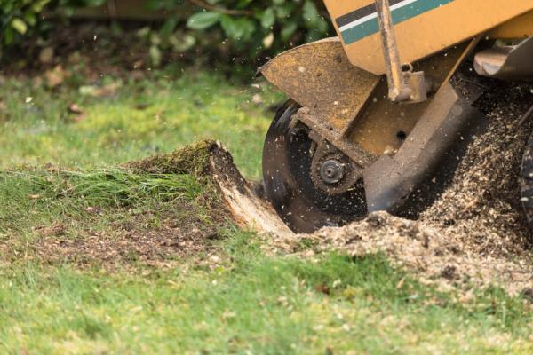 Atlas Tree Service
