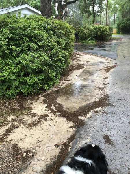 North Florida Asphalt Inc.