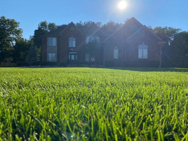 Greenx Lawn and Tree Care