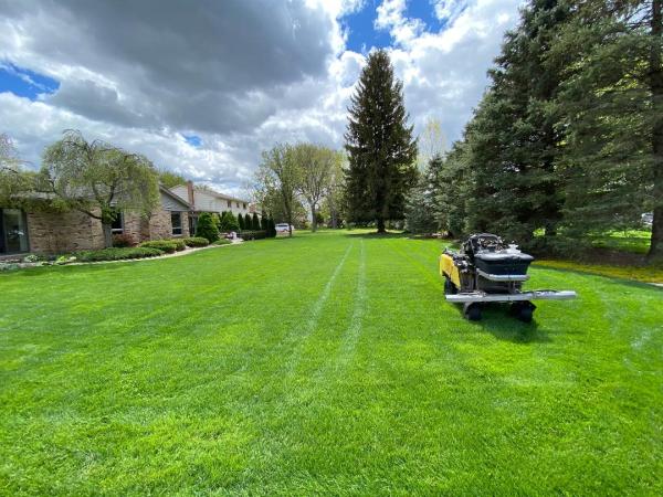 Greenx Lawn and Tree Care