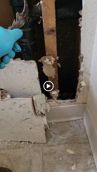 Chase Rooter & Plumbing Inc.