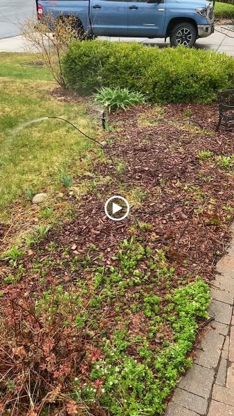 The Sprinkler Guy