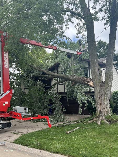 Lackeys Tree Service