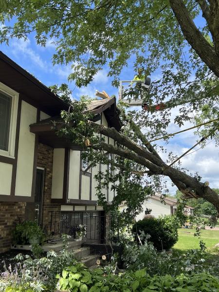 Lackeys Tree Service