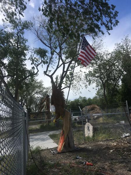 A Swedin Tree Expert