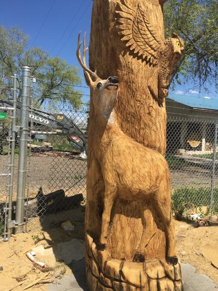 A Swedin Tree Expert