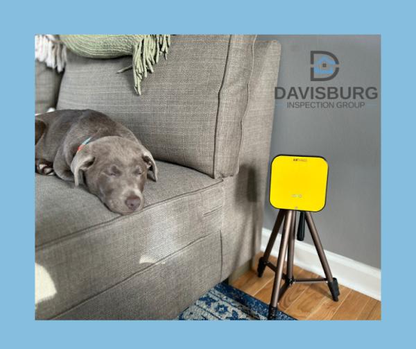 Davisburg Inspection Group