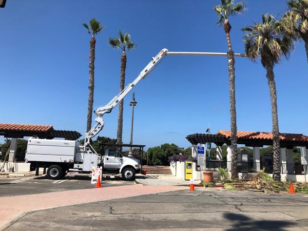 Rod's Tree Service
