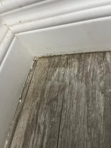 Precision Carpet and Tile Cleaning