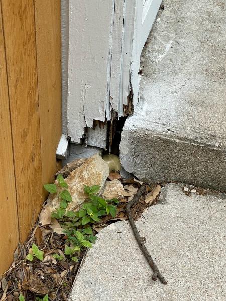 Vector 1 Pest Control LLC