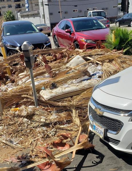 Ultimate Junk Removal