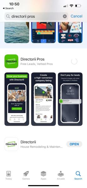Directorii
