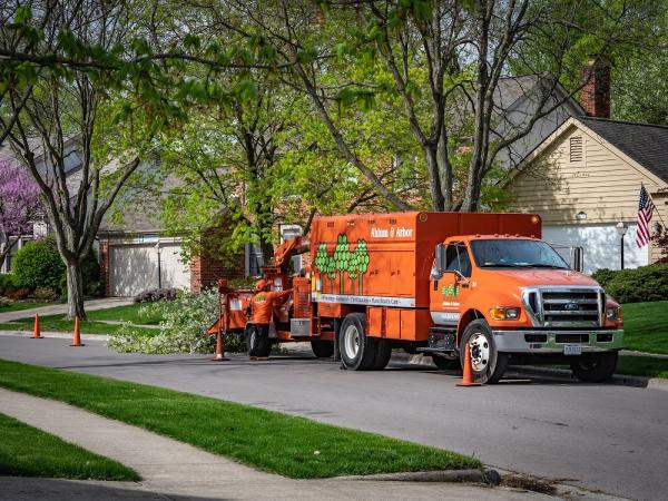 Ahlum & Arbor Tree Preservation