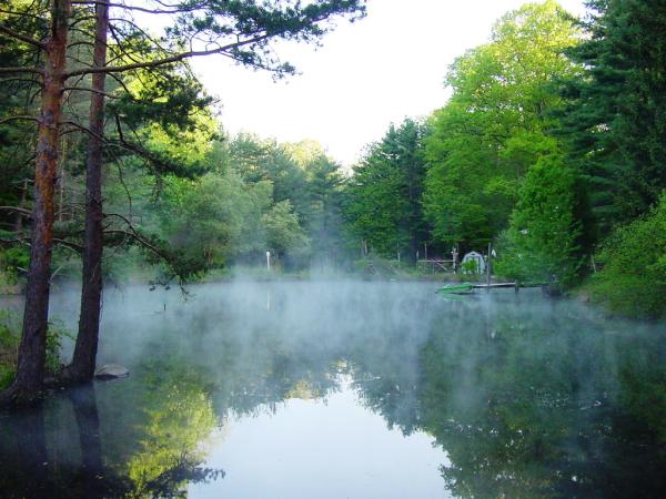 Candide Landscaping & Pond