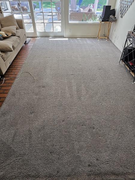 Bundl Window & Carpet Cleaning Laguna Hills