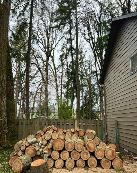 Duran Tree Service LLC